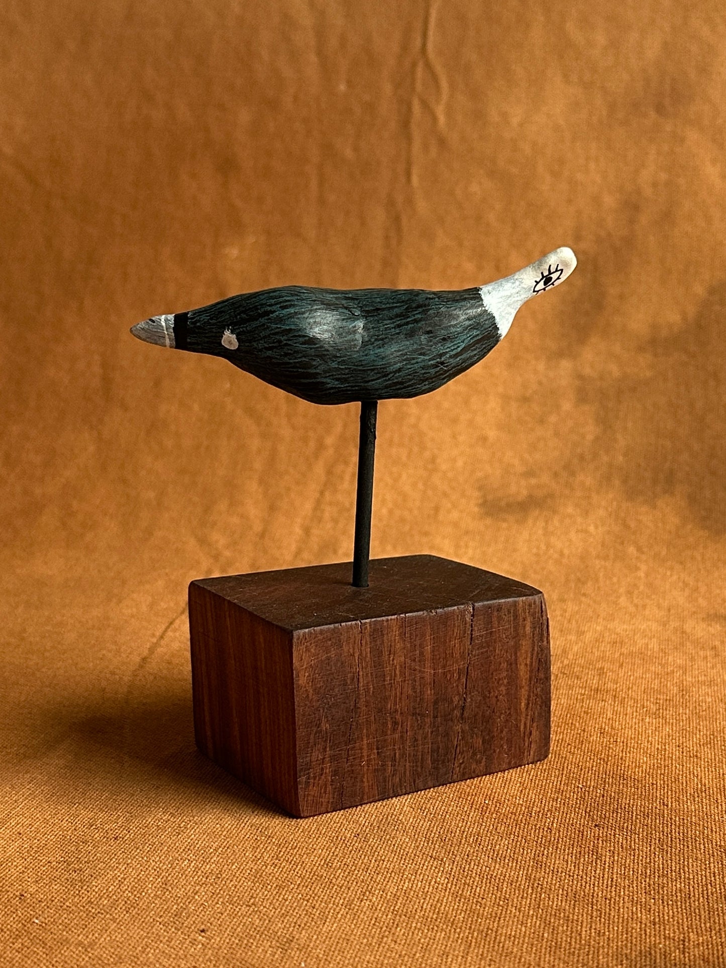 Arcadia attic creeper