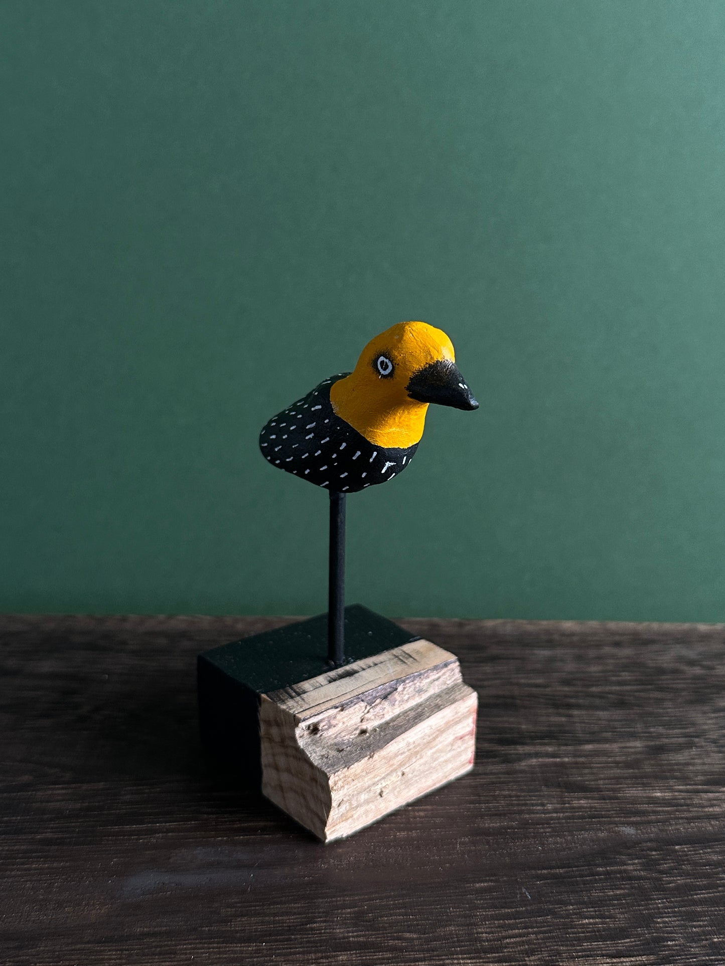 Rotten strawberry gulper.