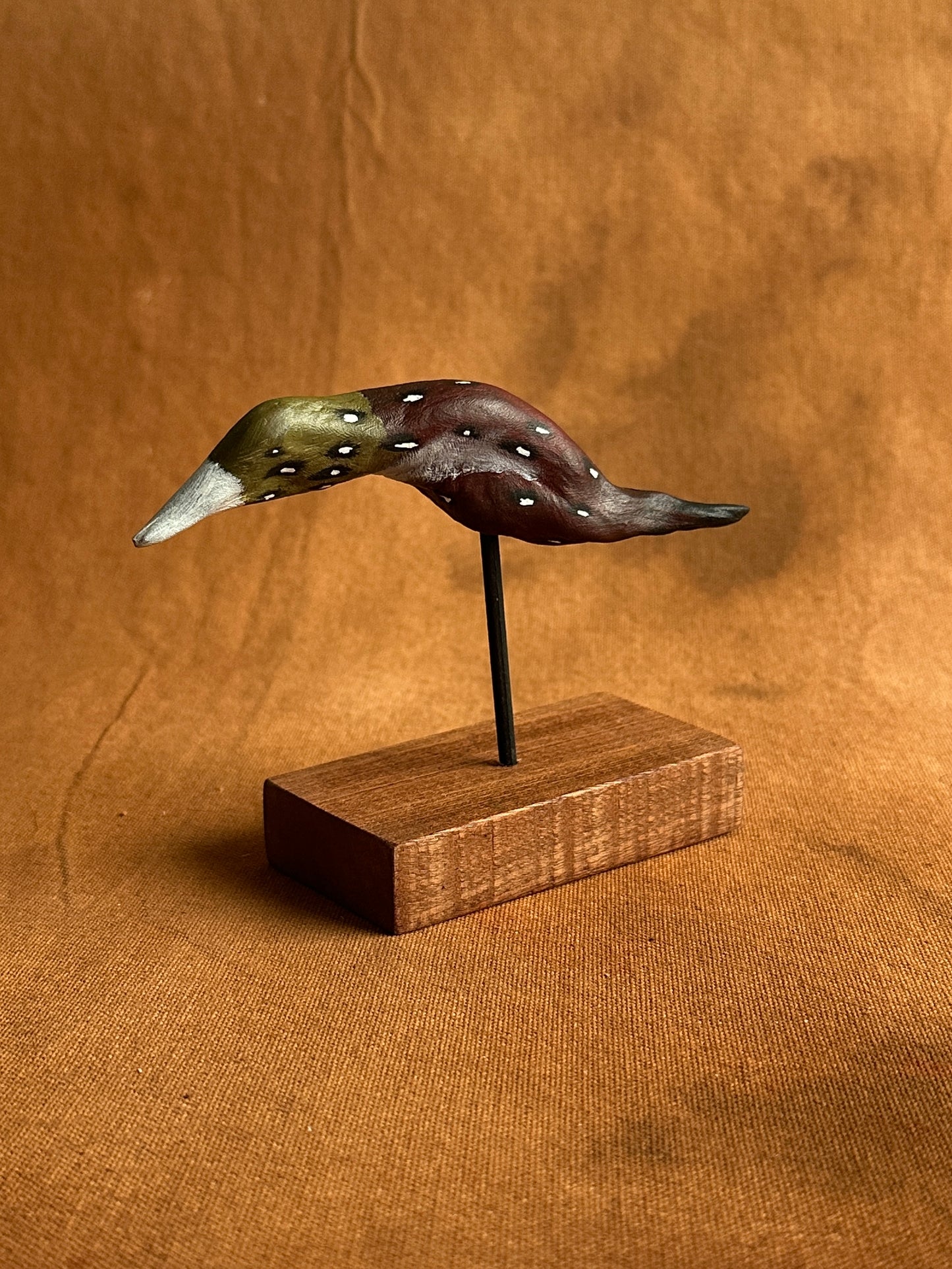 Lurching leopard buzzard