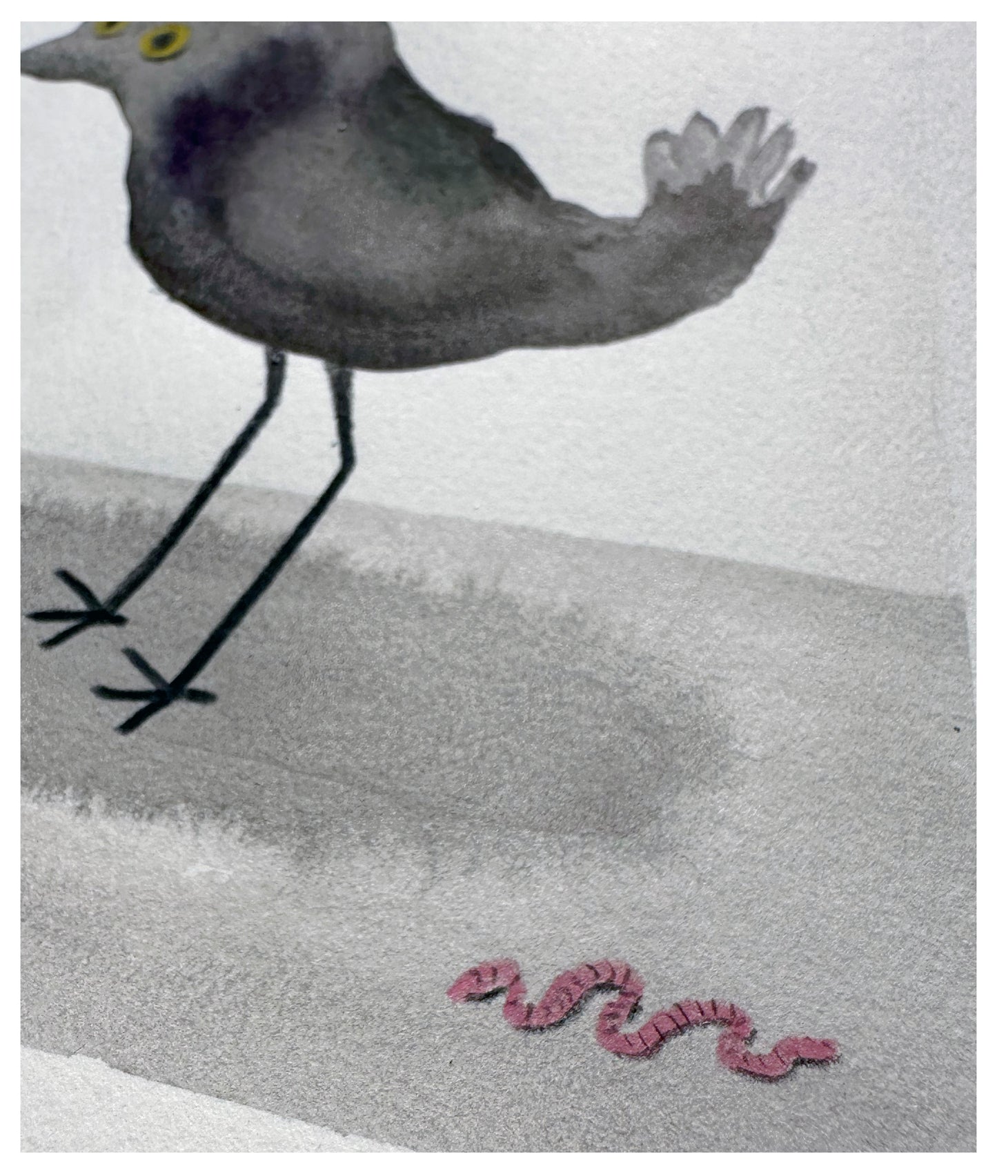 Not A Pigeon (I swear)