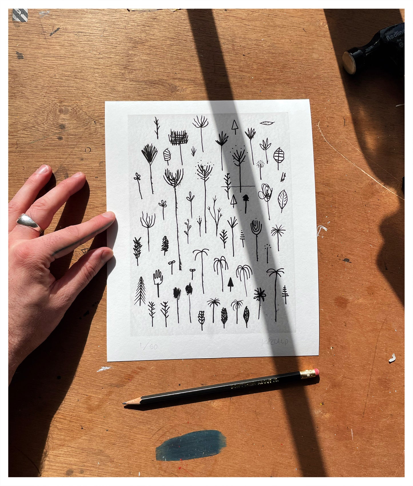 A Complete History Of Plants Giclee Print
