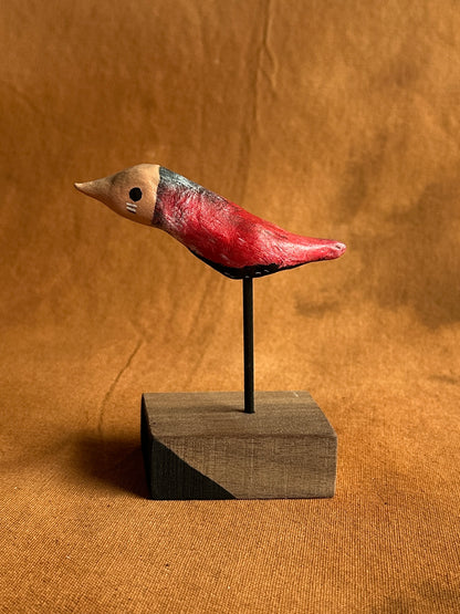 Masked starbellied warbler