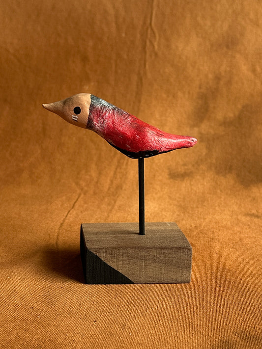 Masked starbellied warbler