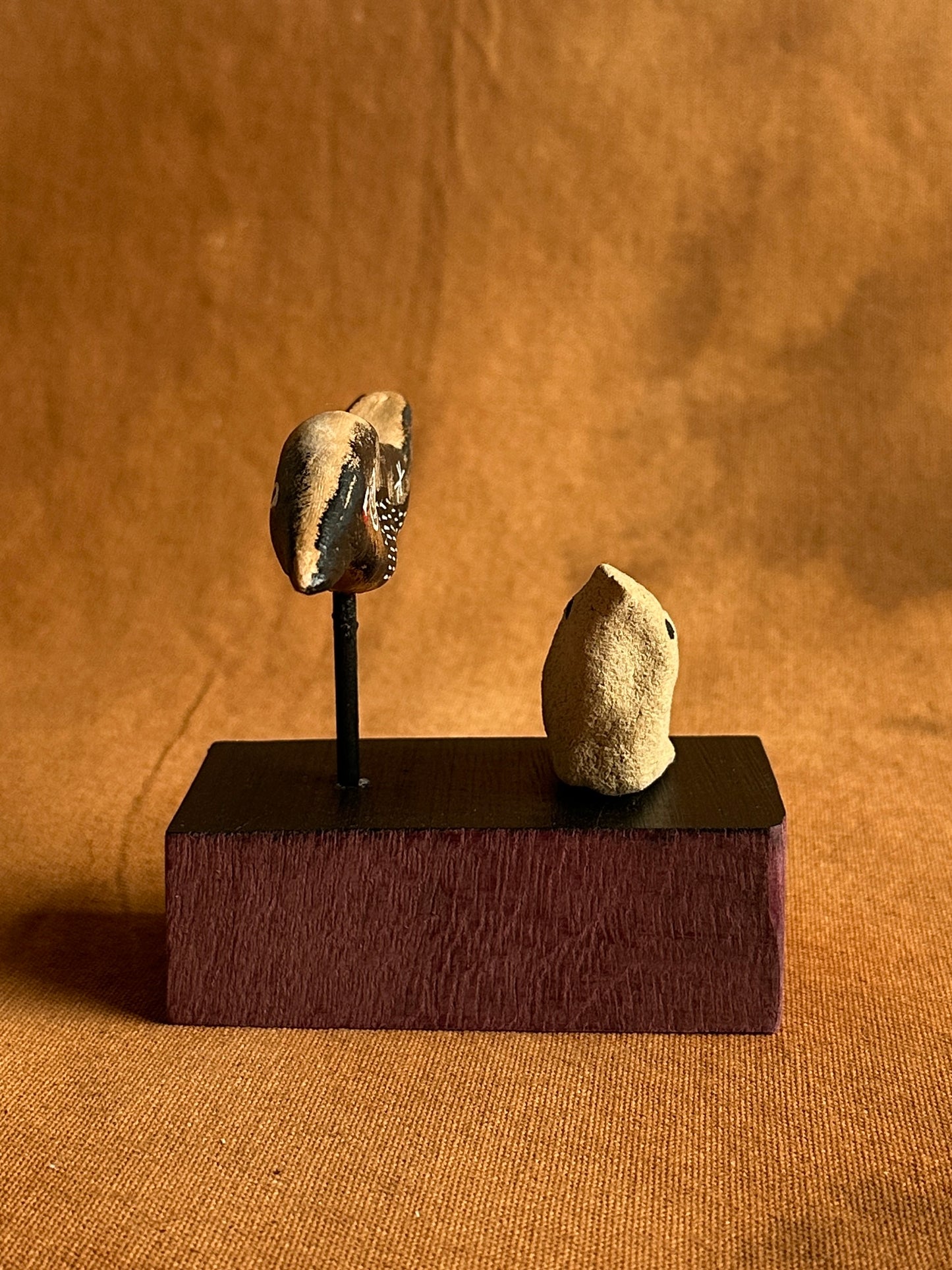 Ash pile stalker (adult and nestling)