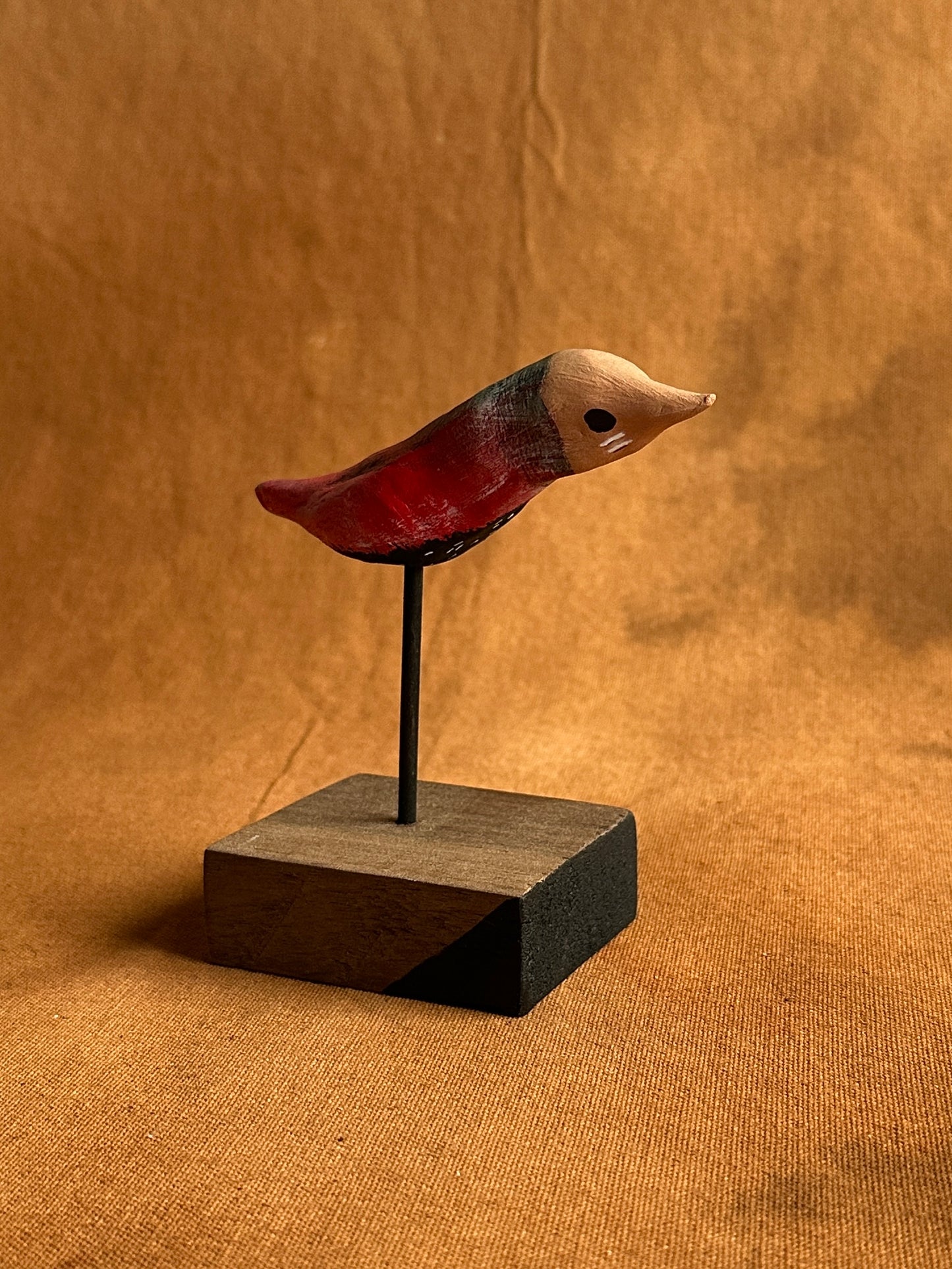 Masked starbellied warbler