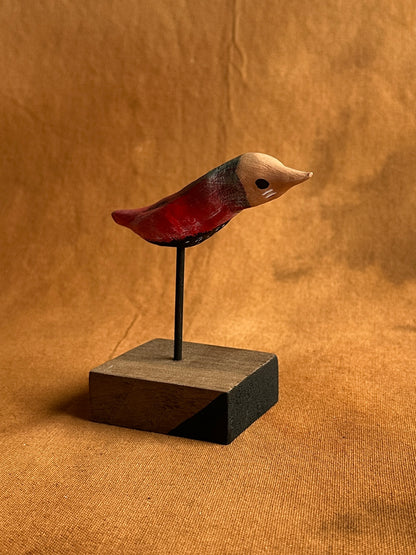 Masked starbellied warbler