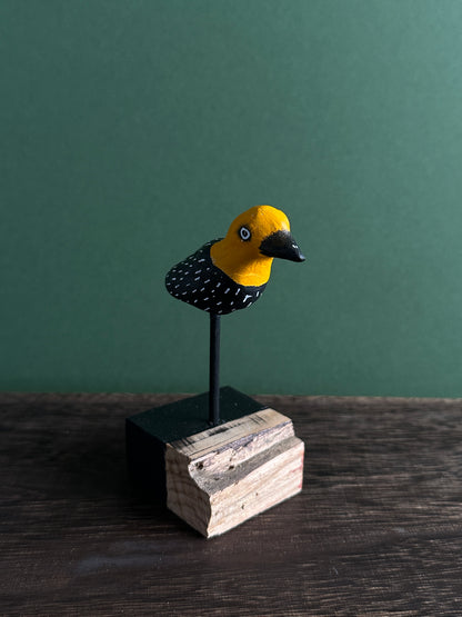 Rotten strawberry gulper.