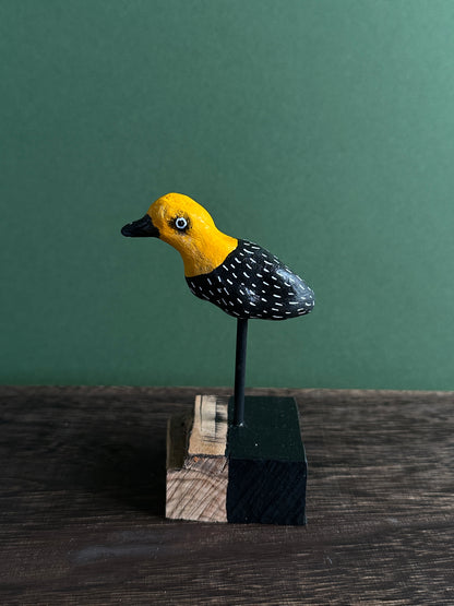 Rotten strawberry gulper.