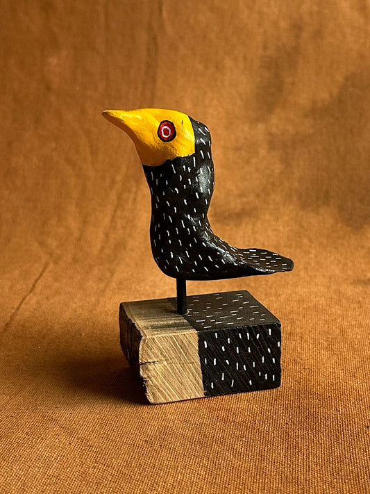 Gold faced night plover