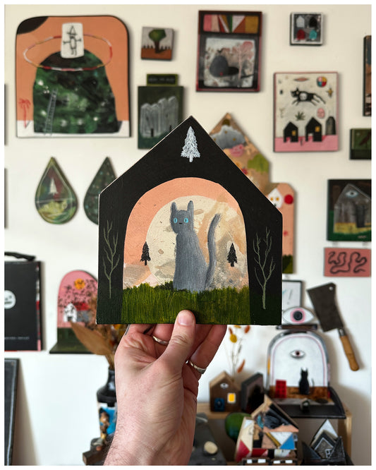 The grey cat and the five trees.