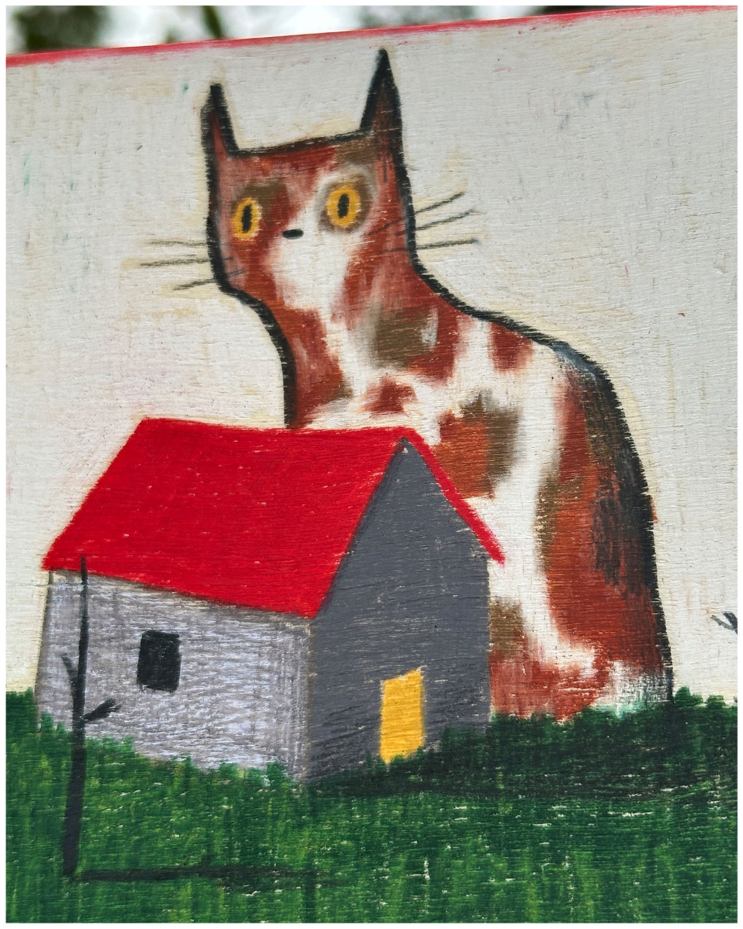 Big Cat Small House.