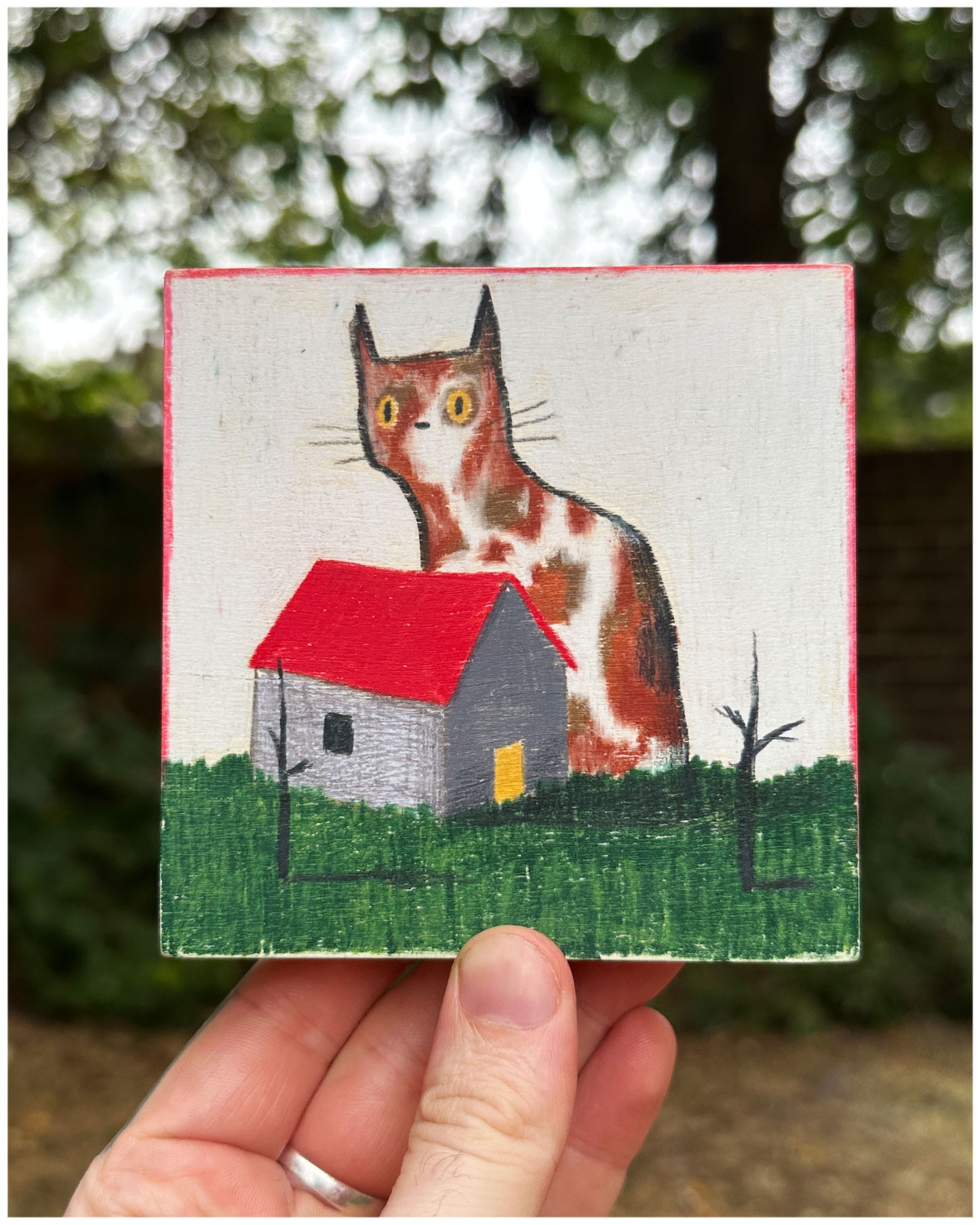 Big Cat Small House.