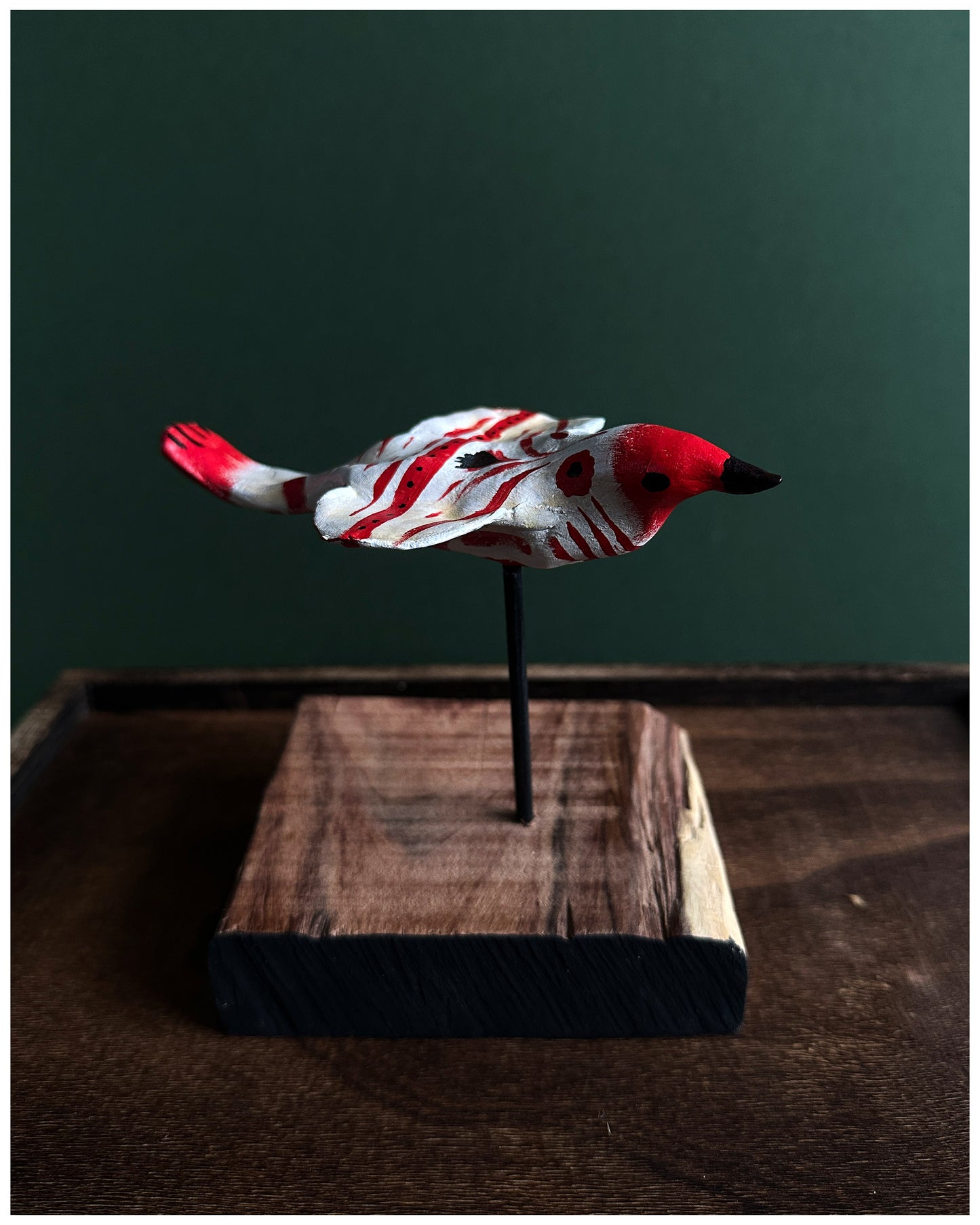 Over-marked Ground Lubber