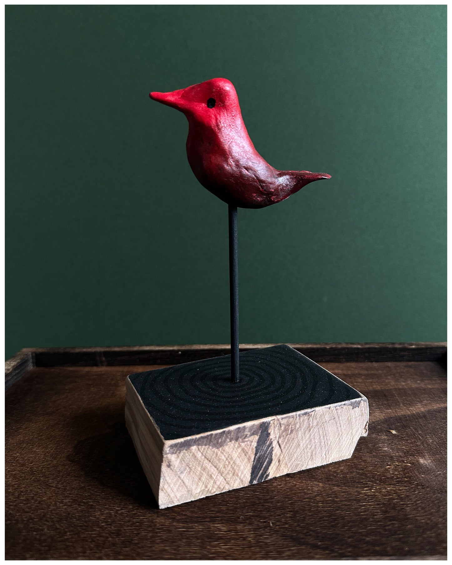 Severe Blushing Warbler