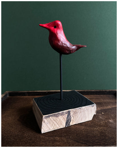 Severe Blushing Warbler