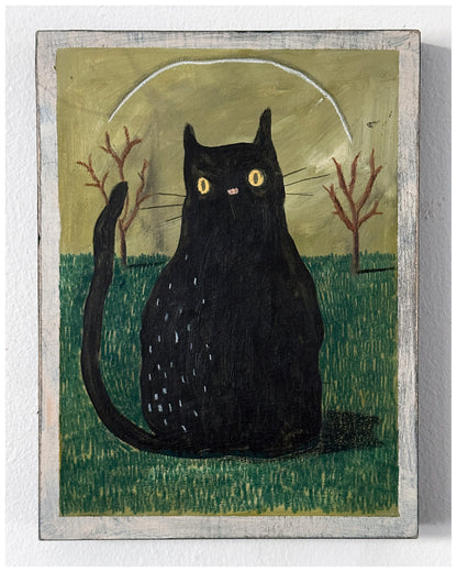 Protecter Of An Unloved Land.