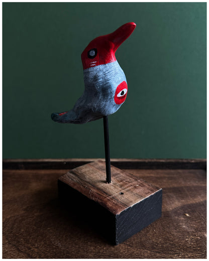 Red Headed Sightseer