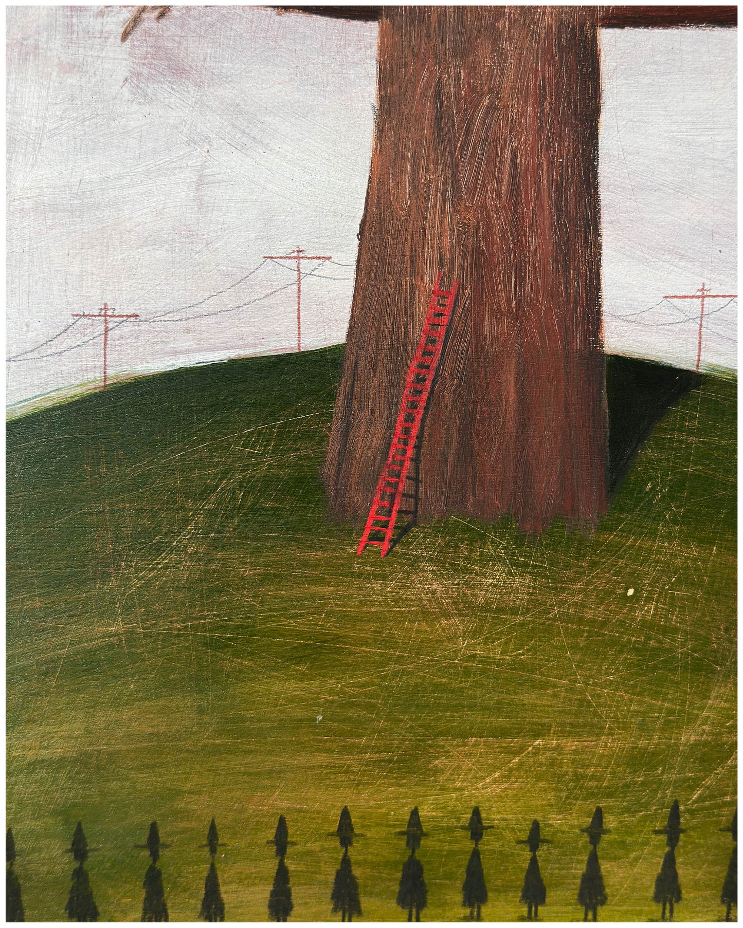 Dead trees huddled together for warmth