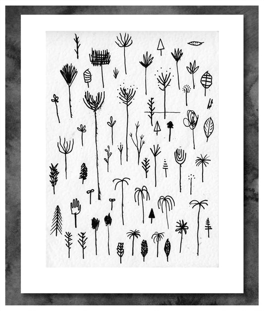 A Complete History Of Plants Giclee Print